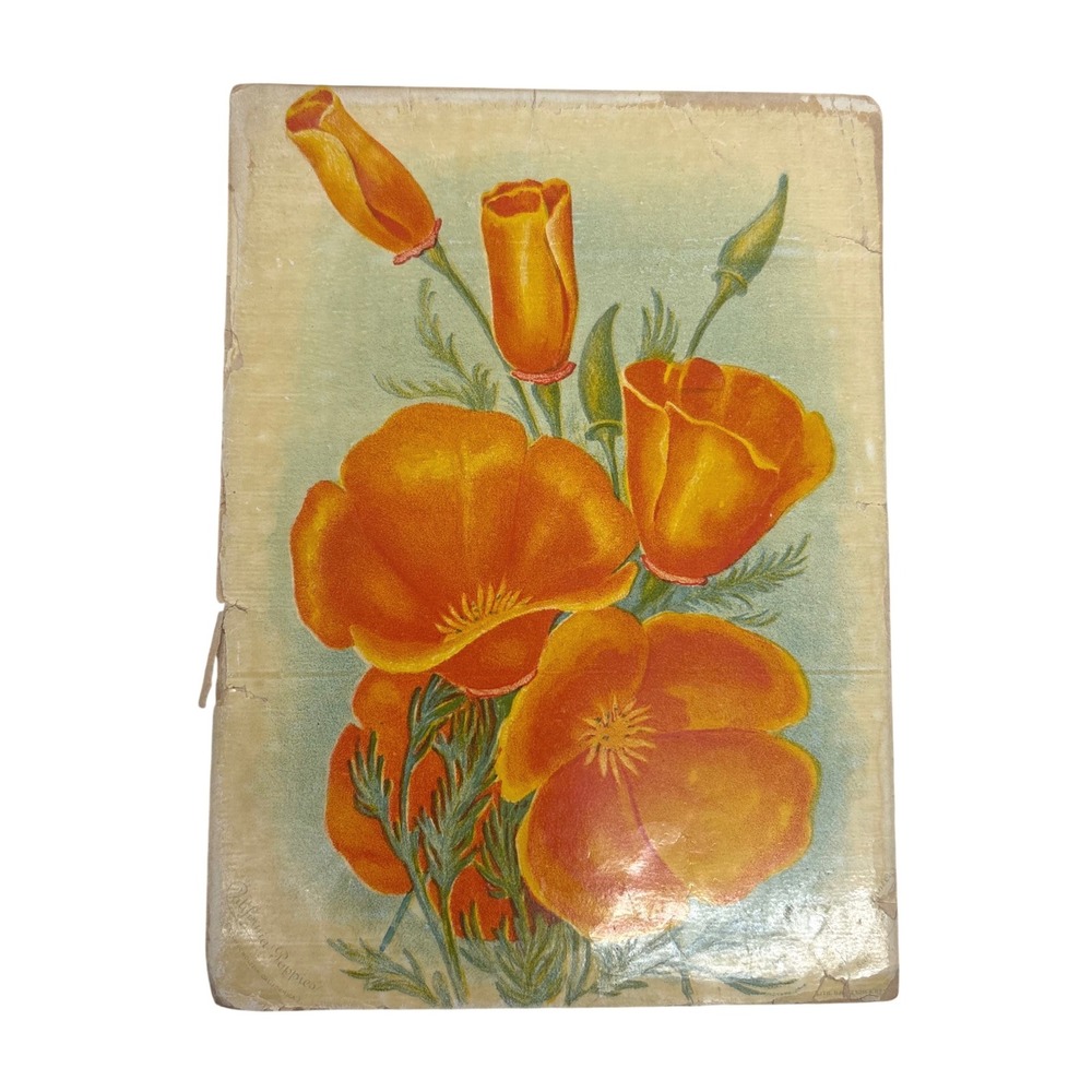 5 Sunset Seed & Plant Co California Poppies Litho Ephemera San Francisco Antique